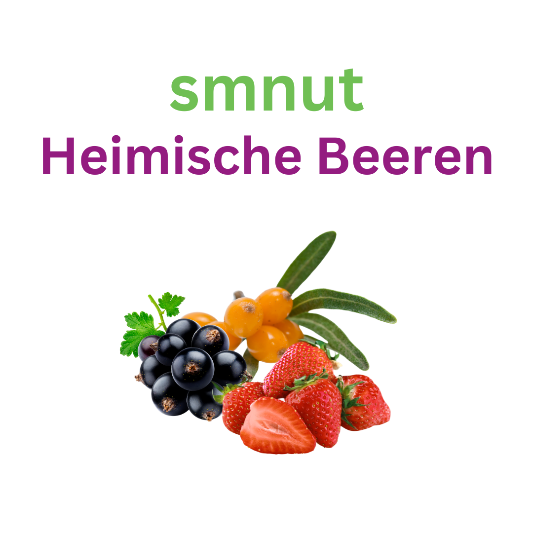 Bio Protein Superfood Shake - Heimische Beeren
